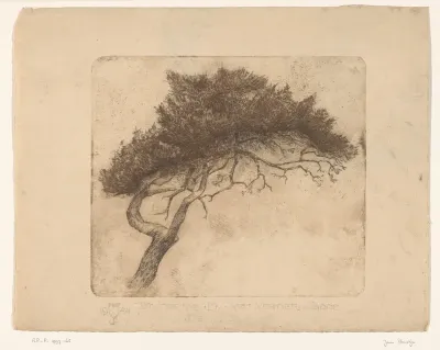 Den in de duinen bij Bergen