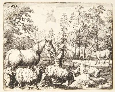 Den misundelige hest