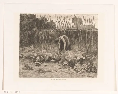 Den moestuin