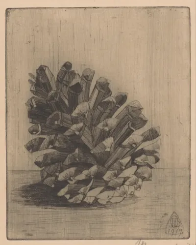 Dennenappel