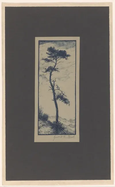 Dennenboom