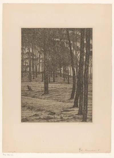 Dennenbosch I