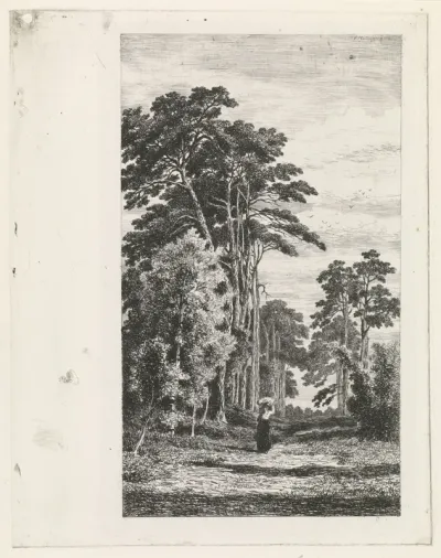 Dennenlaan