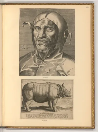 Der Kopf eines Narren; Rhinoceros