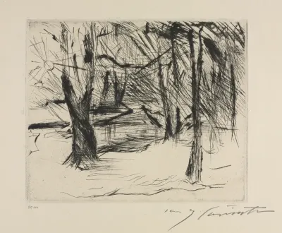 Der Tiergarten:  Trees with Sun