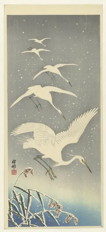 Descending egrets in snow
