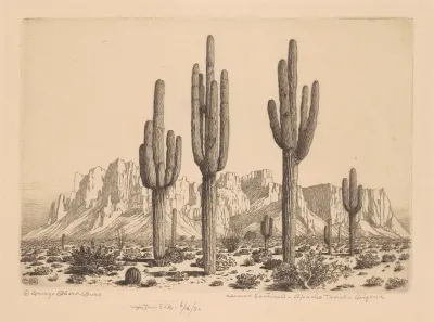 Desert Sentinels, Apache Trail, Arizona