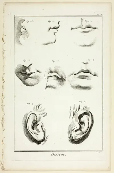 Design: Facial Anatomy from Encyclopédie