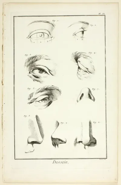 Design: Facial Anatomy from Encyclopédie