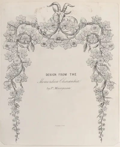 Design from the Momordica Charantia by P. Moorgesan