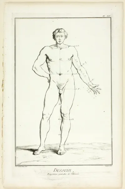 Design: General Proportions of the Male, from Encyclopédie