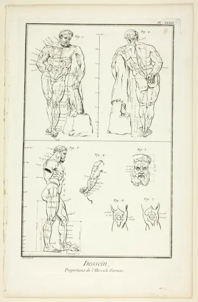 Design: Proportions of the Farnese Hercules, from Encyclopédie