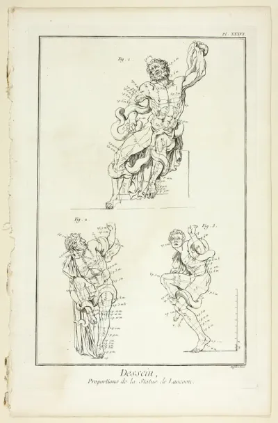 Design: Proportions of the Laocoon statue, from Encyclopédie