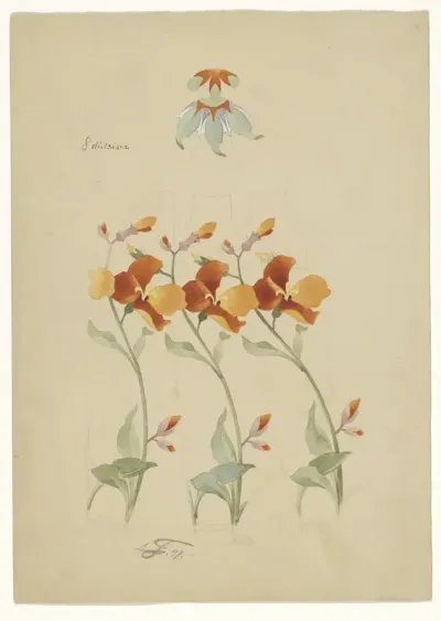 Designs for the Decoration of Two Vases and Two Handles