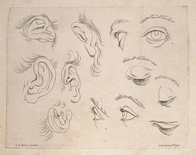 Designs of ears and eyes