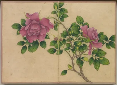 Desk Album: Flower and Bird Paintings (Rose)