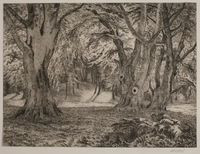 Det indre af en skov