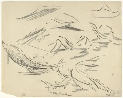 Detail- en bewegingstudies van een sterlet