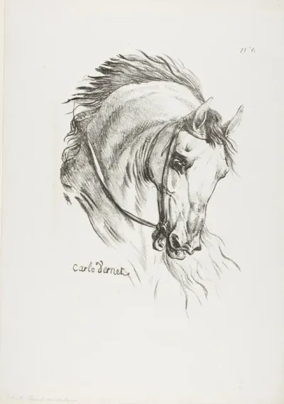 Detail of Horse's Head, Enlarged to Triple Size, Hussard, Royal Guard, No. 6