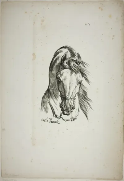 Detail of Horse's Head, Enlarged to Triple Size, Norman Royal Guard, No. 1