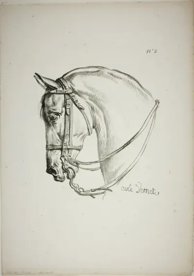 Detail of Horse's Head, Enlarged to Triple Size, Norman Royal Guard, No. 2
