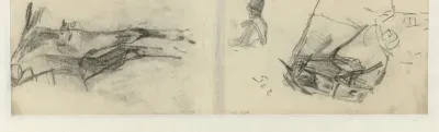Detailstudies van een paard