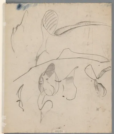 Detailstudies van een vis