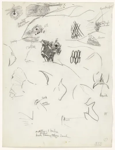 Detailstudies van vissen
