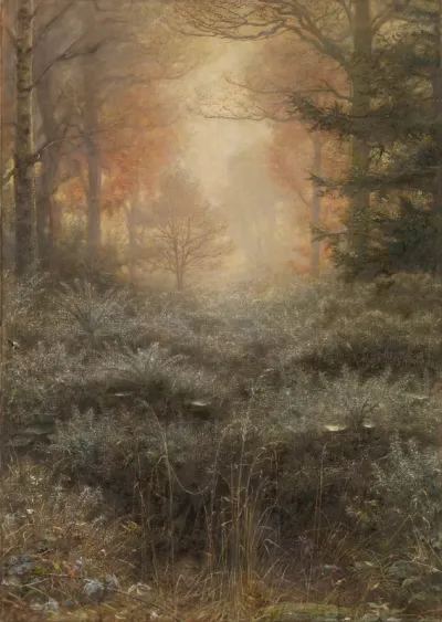 Dew Drenched Furze
