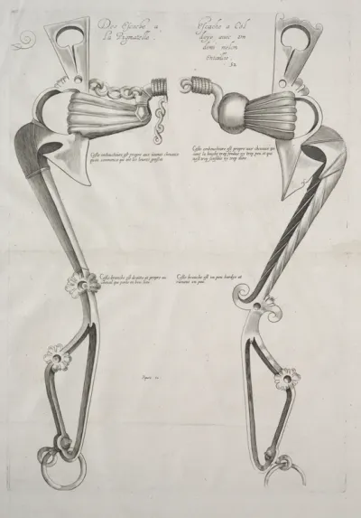 Diagram for Horse's Bit