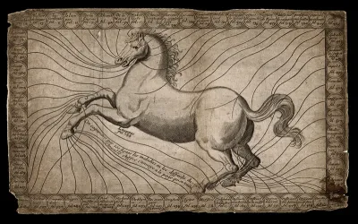 Diagram of a horse in motion, indicating the location of sixty different maladies on the body