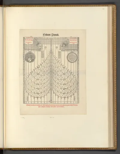 Diagramm, Folium Populi (Buchillustration)