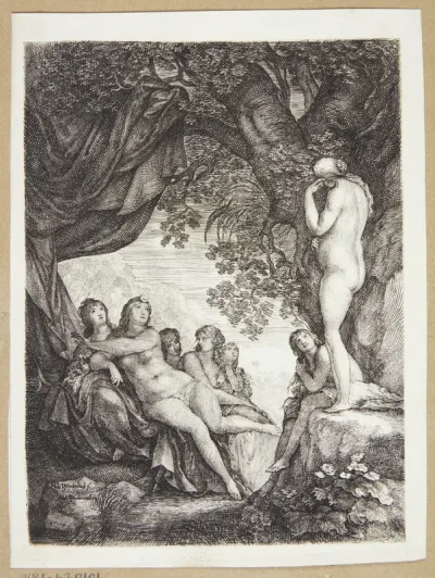 Diana opdager, at Callisto er gravid