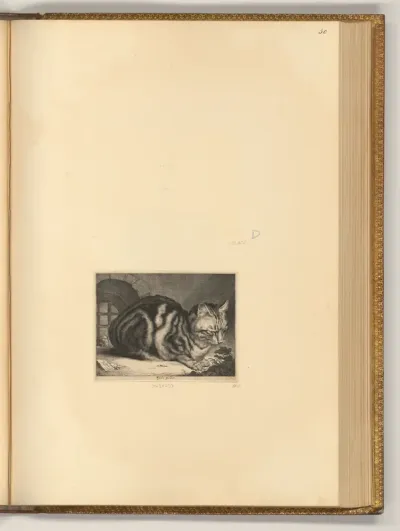 Die große Katze