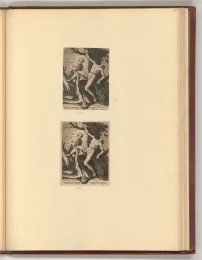 Die Häutung des Marsyas