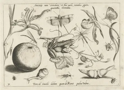 Dieren, bloemen en vruchten rond een kikker
