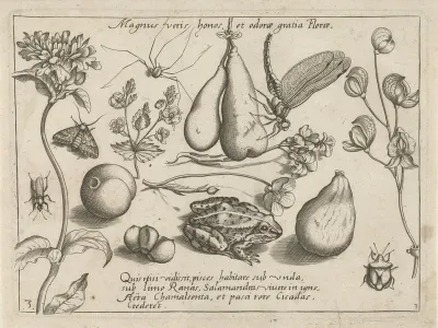 Dieren, bloemen en vruchten rond hangende peren