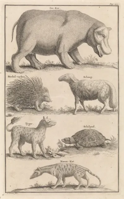 Dieren in Zuid-Afrika