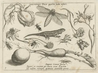 Dieren, planten en vruchten rond een hagedis
