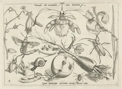 Dieren, planten en vruchten rond een krab