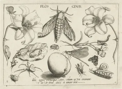 Dieren, planten en vruchten rond een mot