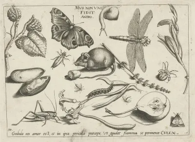 Dieren, planten en vruchten rond een muis
