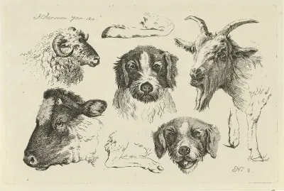 Dierenkoppen en -poten