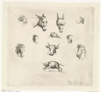 Dierenkoppen en saters