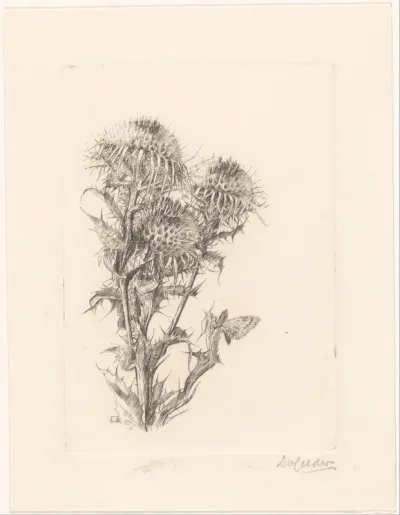 Distel
