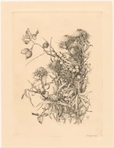 Distel, duindoorn en rozenbottel