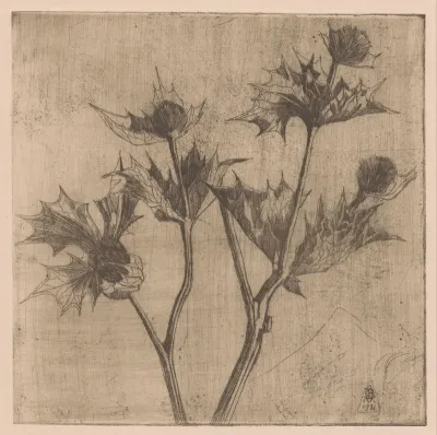Distelbloemen