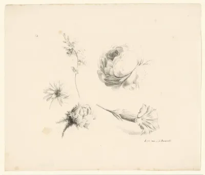 Diverse bloemen waaronder twee rozen