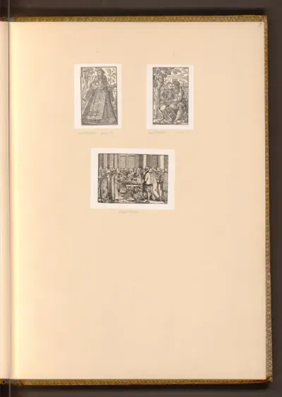 Diverse Darstellungen; Anatomie