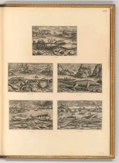 Diverse Fische in der Natur